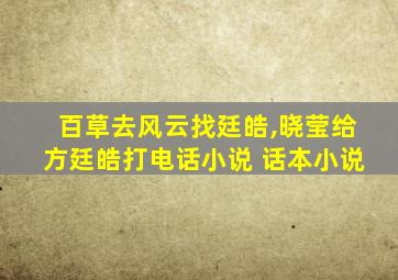 百草去风云找廷皓,晓莹给方廷皓打电话小说 话本小说